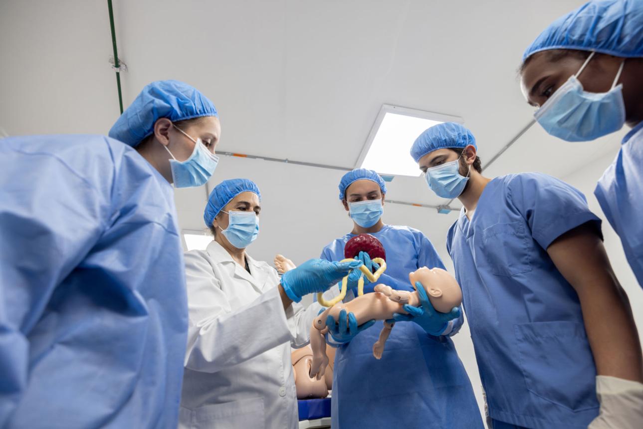 General Nursing And Midwifery (gnm)